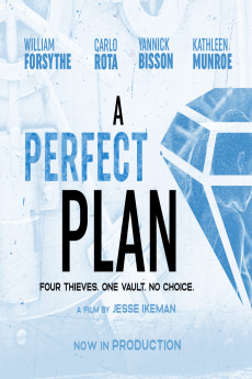 A Perfect Plan