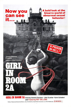 The Girl in Room 2A