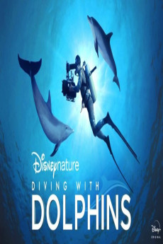 Diving with Dolphins