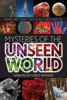 Mysteries of the Unseen World